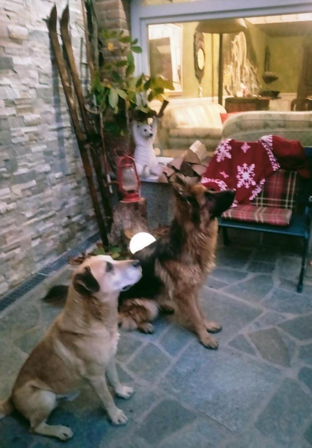 B&B Casa Dell'Orso Lurisia Kültér fotó